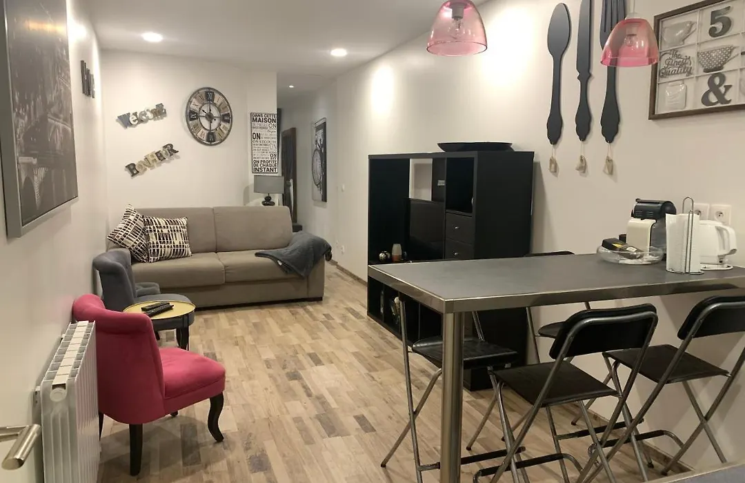 Bel Appartement Au Coeur De Paris-1