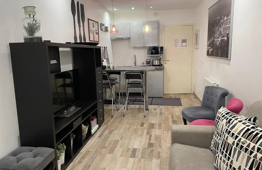 Bel Appartement Au Coeur De Paris-1